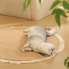 🔥Last Day Promotion 70% OFF🔥Handwoven Durable Cat Scratch Mat Rug