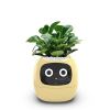 ✨Smart Planter | Smart Flower Pot | Emotion Sensing Technology | Crafted With Modern Aesthetics In Mind🥰