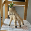 👻👻Horror Hand Plant Pot