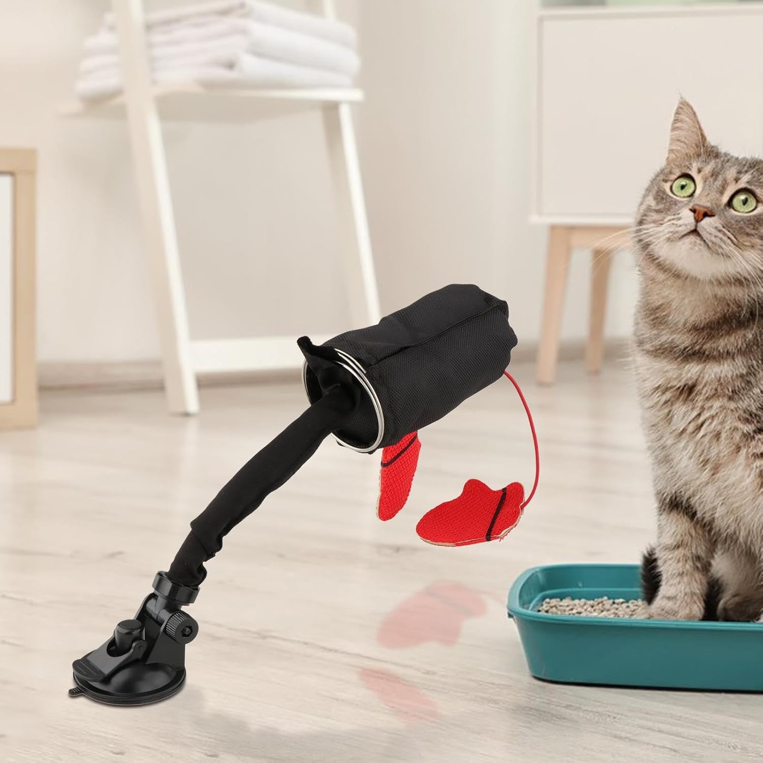 🔥Last Day Promotion 70% OFF🥊Cat Boxing Toy⚡️Buy 2 Free Shipping