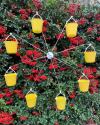 🎅Christmas Promotion 48% OFF-🎁-Ferris Wheel Bird Feeder🐦