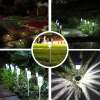 Stainless Steel Led Solar Garden Lights