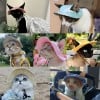 🔥BUY 2 GET 1 FREE😻Pet Summer Funnel Ear Fisherman's Hat