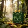 🔥Christmas Sales 50% OFF🎄-2025 Plant Christmas Advent Calendar🌿