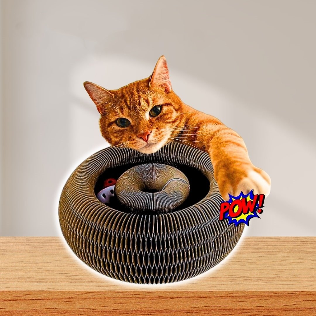 😸Modular Track with Ball Corrugate Scratcher Cat Toy