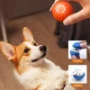 🎄Christmas Flash Sale-49% OFF-Chewie Viral Bouncing Ball