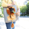 ⚡⚡Last Day Promotion 48% OFF - Pet Outing Bag 🔥BUY 2 FREE SHIPPING