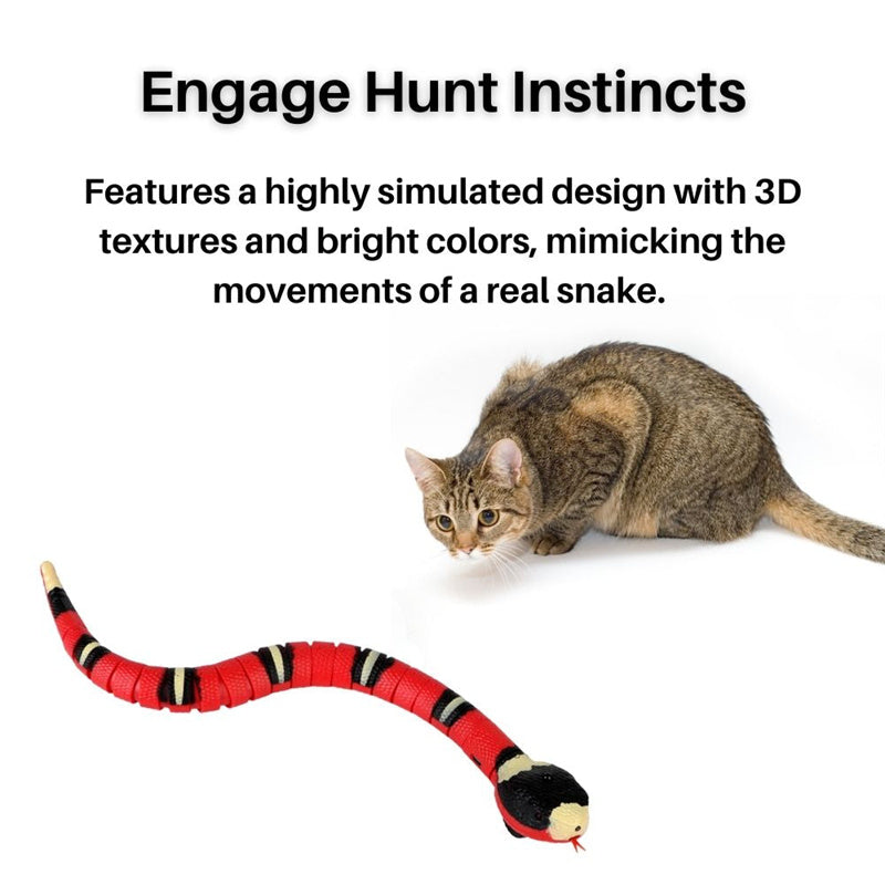 Interactive Snake Cat Toy