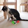 🌲Early Christmas Sale 49% Off🌲Mini Cute Electric Ladybug Cat Toy, 🔥BUY 5 GET 3 FREE & FREE SHIPPING