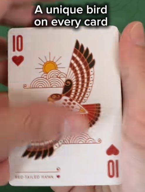 Last Day 50% OFF🎴🐦Bird in the Hand Playing Cards 🎁Buy 2 Free Shipping