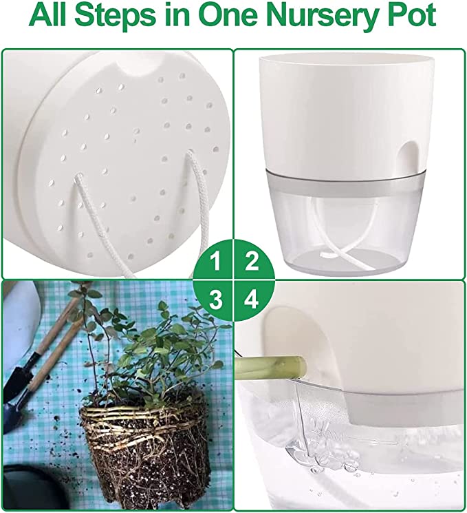 ⏰Last Day Promotion- SAVE 70%🏠Self Watering Plant Pot