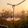 Umbrella Shaped Bird Feeder, Metal Garden Decoration for Hummingbirds, Bees, Butterfly