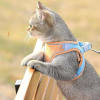 ⏰Limited Stock Sale-Luminous Cat&Dog Vest Harness and Leash Set