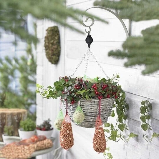 🌳Plant Pulley Set For Garden Baskets Pots, Birds Feeder, 👍Buy 5 Get 3 Free & Free Shipping