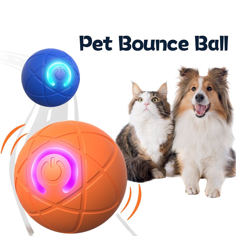 🔥Last Day Promotion 48% OFF-🎁-Pet Bounce Ball for Cats🐱 & Dogs🐶