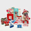 💥LAST DAY SALE 50% OFF💥Pop-Up Dog Cards