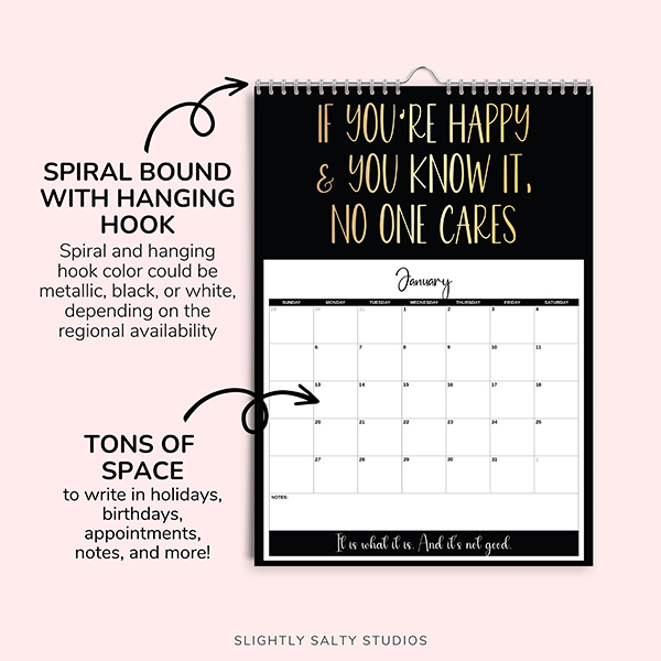 🔥Hot Sale 49% OFF - 2025 Demotivational Sarcastic Wall Calendar