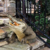 Garden Swamp Gator Statue
