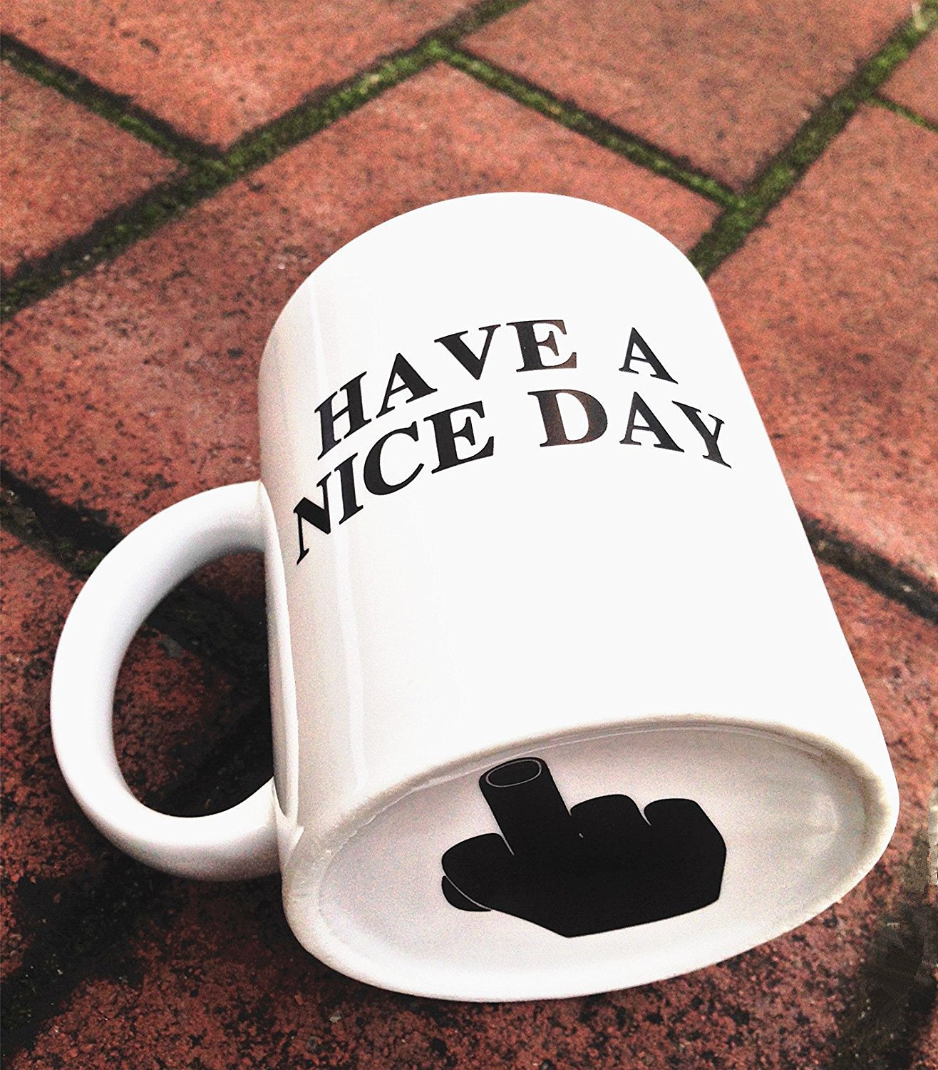 🎅Christmas sale 48% discount -🔥-Have a Nice Day Middle Finger Funny Cup