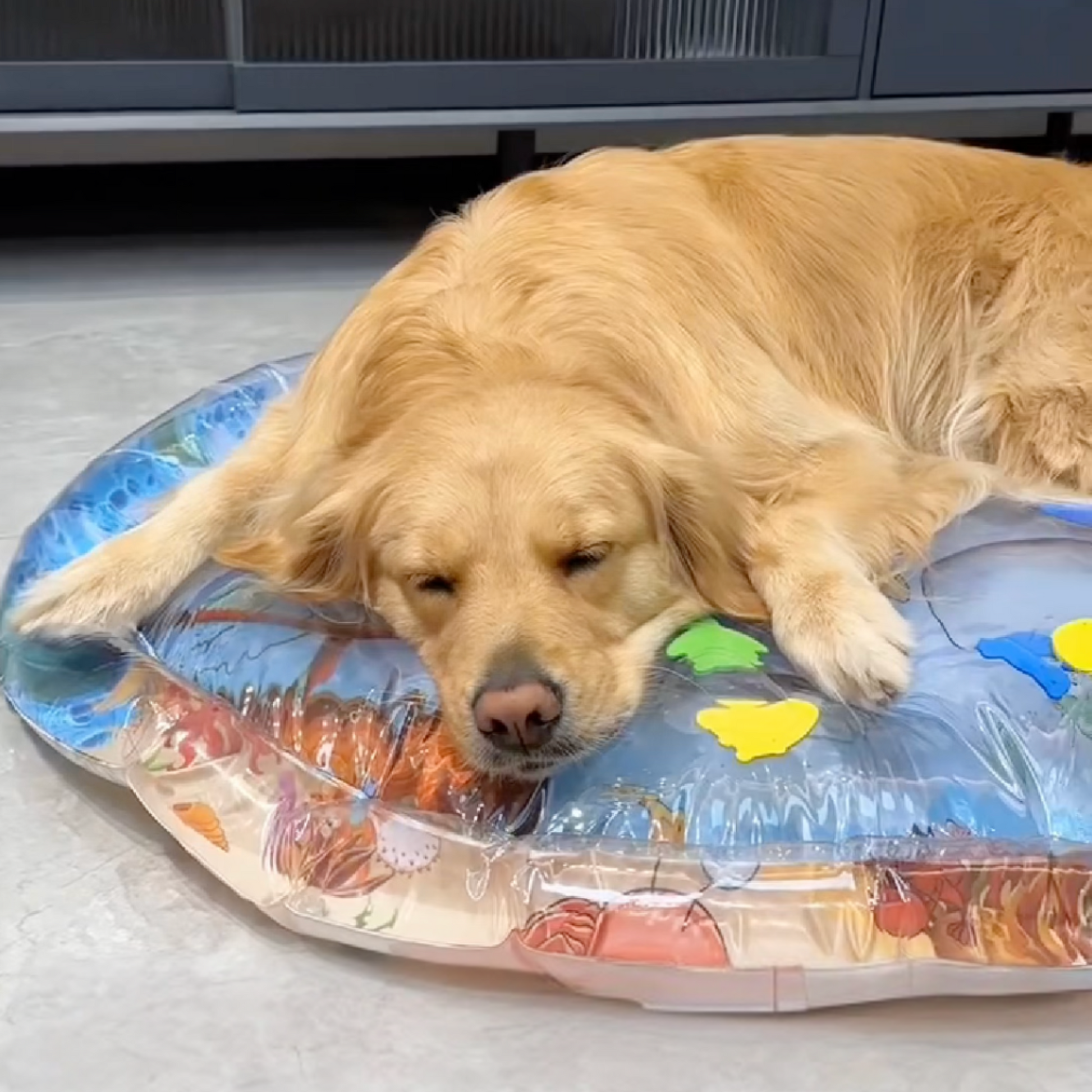Pet Cooling Water Bed