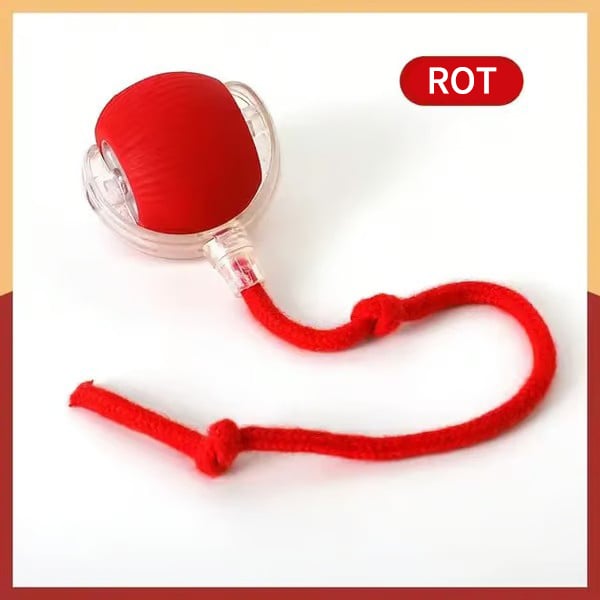 💗Letzter Tagesangebot: 49 % RABATT😻 Interaktiver Spielzeug Ball