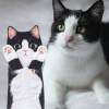 🔥Last Day Promotion 70% OFF😸Funny Cat Hand Towels