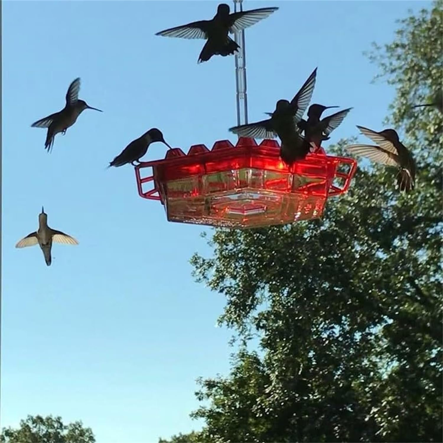 💖Mother's Day Promotion 48% OFF-🎁-Newly Upgraded Hummingbird Feeders for Outdoors Hanging