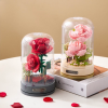 🔥Last Day Promotion 60% OFF🎁Eclatique DIY Flower Dome Music Box