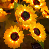 (🔥Last Day Promotion 50% OFF) Outdoor Sunflower Lights