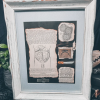 Lobotomy Shadowbox Display