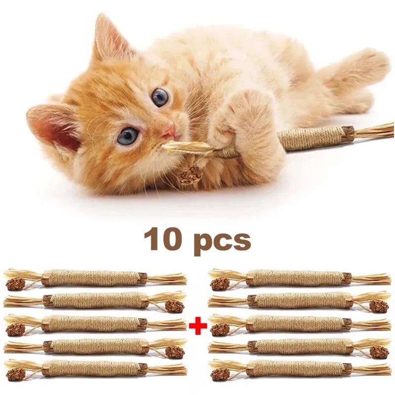 🎄Christmas sales,only today!🎅Natural Silvervine Stick Cat Chew Toy(Buy 3 get 3 free,buy 4 get 5 free&free shipping,buy 5 get 7 free!)