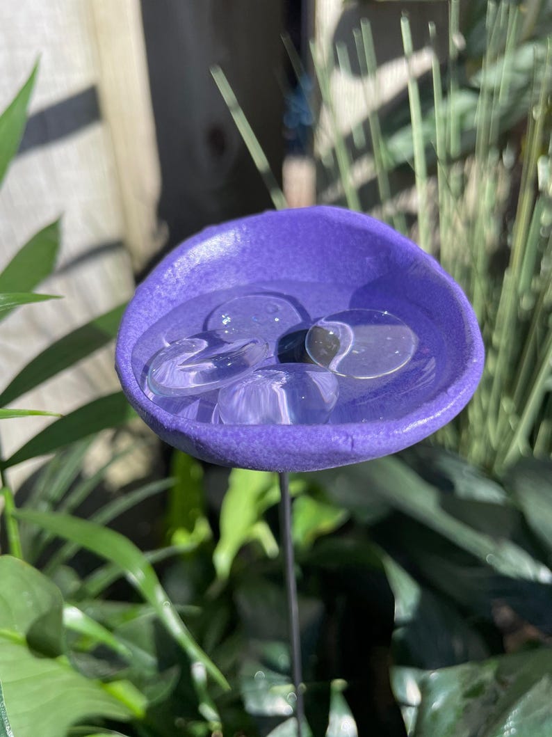 🎖️July 4th Flash Sale: 50% OFF Sitewide! 💕Bee Watering Station,Butterfly Puddler,Insect Drinking Cups