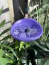 🎖️July 4th Flash Sale: 50% OFF Sitewide! 💕Bee Watering Station,Butterfly Puddler,Insect Drinking Cups