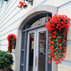 🌺Last Day Promotion- SAVE 70%🌷Vivid Beautiful Hanging Orchid Bunch