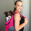 (💗Hot Sale -45%OFF) Doggy Rucksack