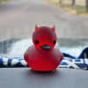 Lil' Devil Ducky