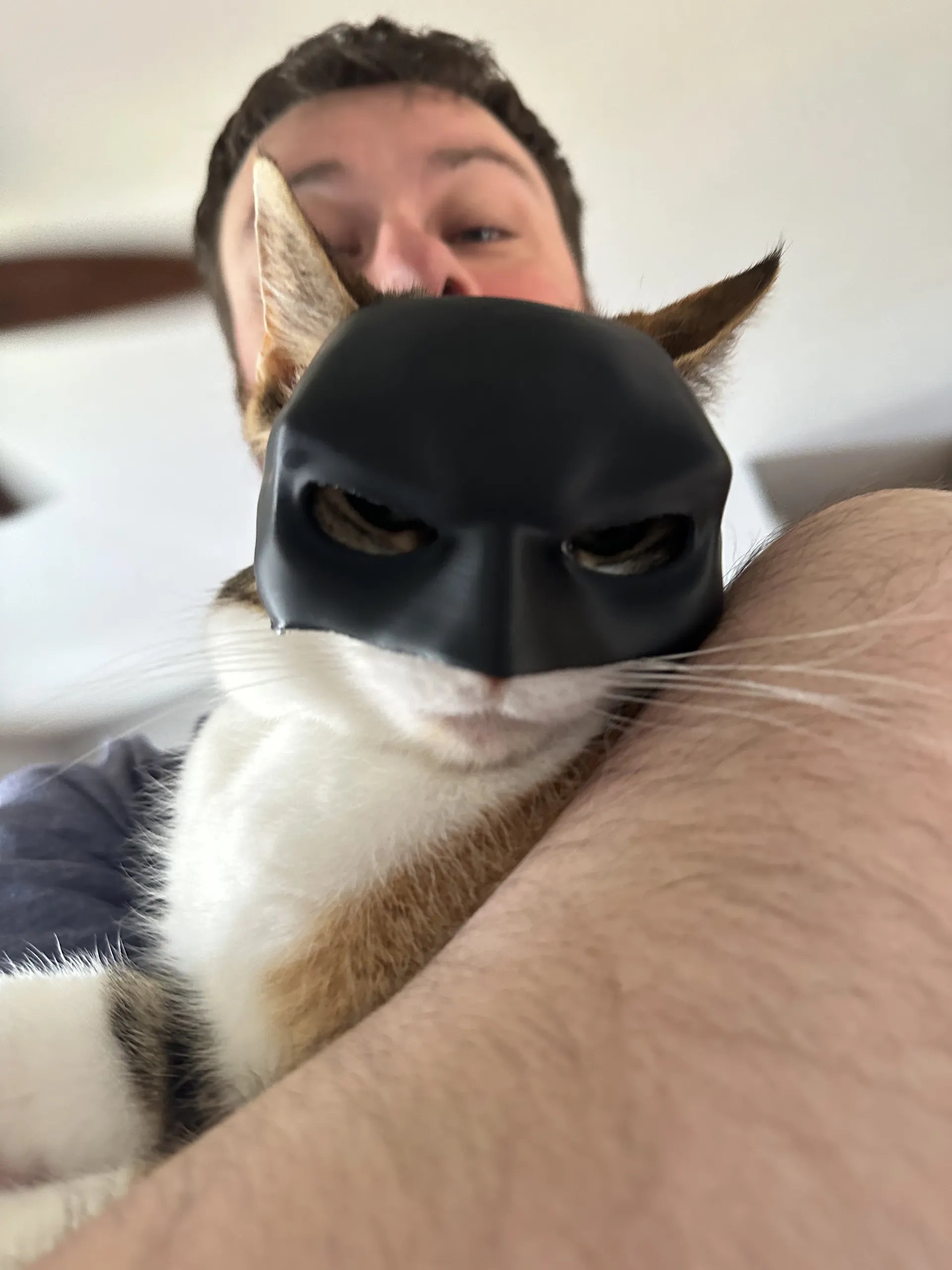 BUY 2 GET 1 FREE🦇Halloween Cat Cos Mask