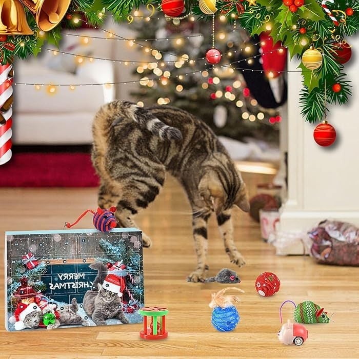 🔥Last Day Promotion 48% OFF-🎁-2024 Christmas Countdown Cat Toy Advent Calendar🐱