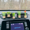 Mega Sale-Succulent Air Freshner Vent Clips
