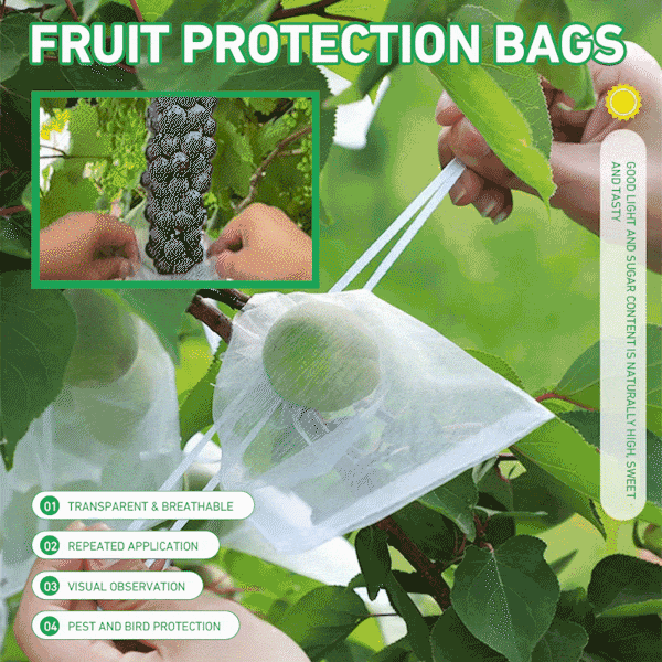 🎁TikTok Last Day Sale - 70% OFF🎉Fruit Protection Bags
