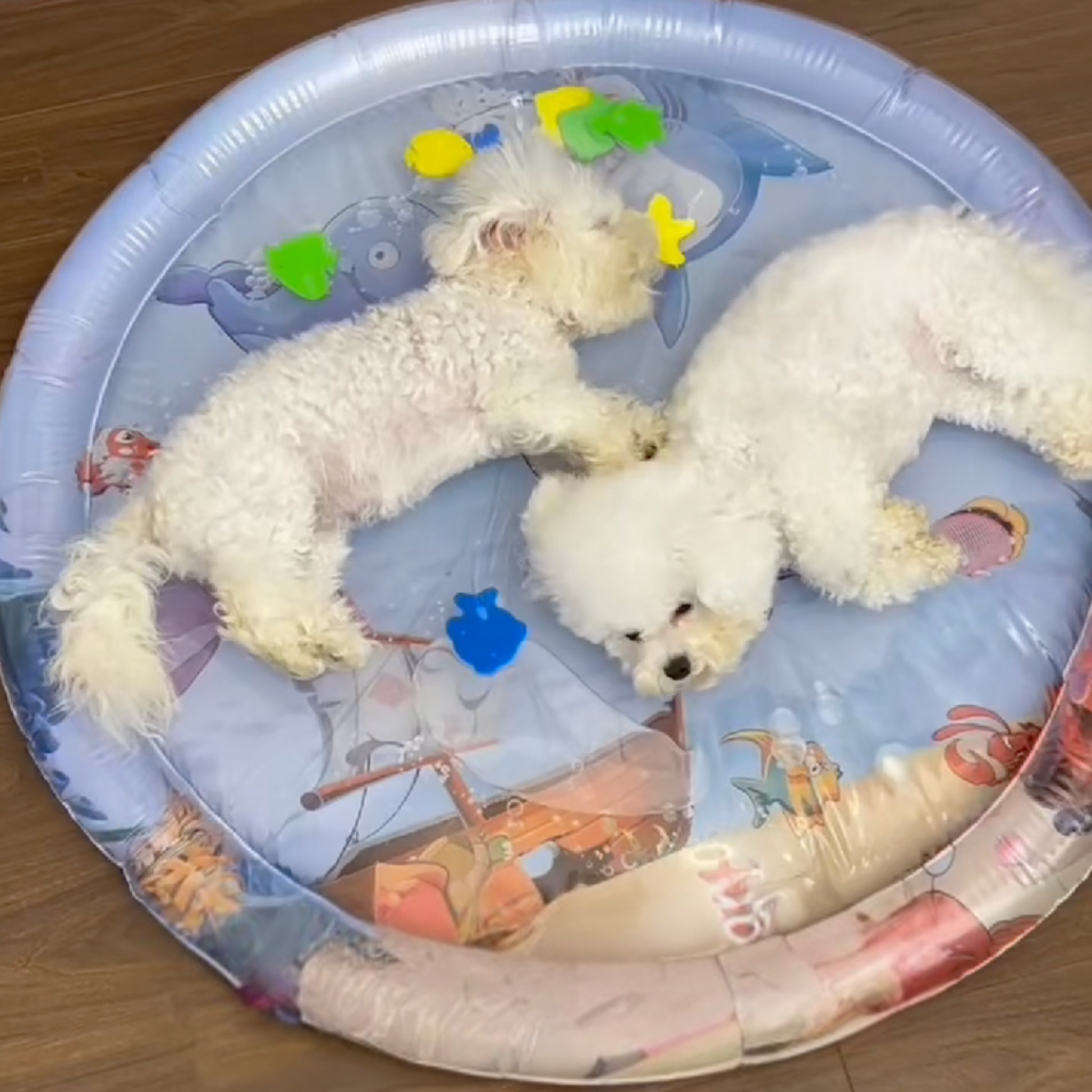 Pet Cooling Water Bed