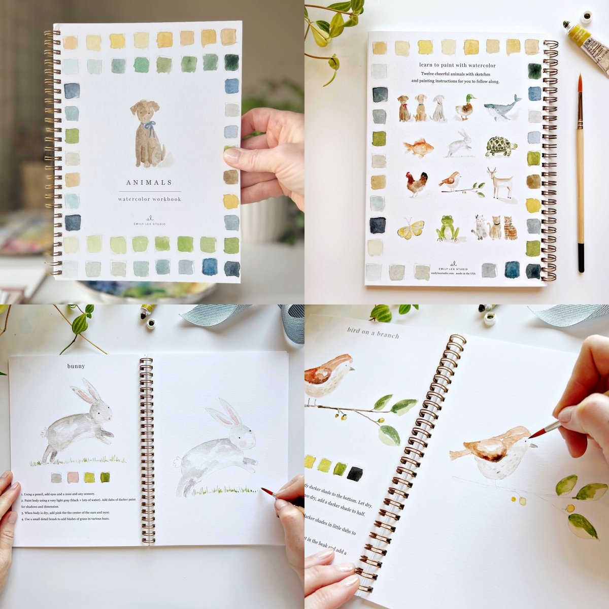 🖼️Beginner-Friendly💕Watercolor Workbook