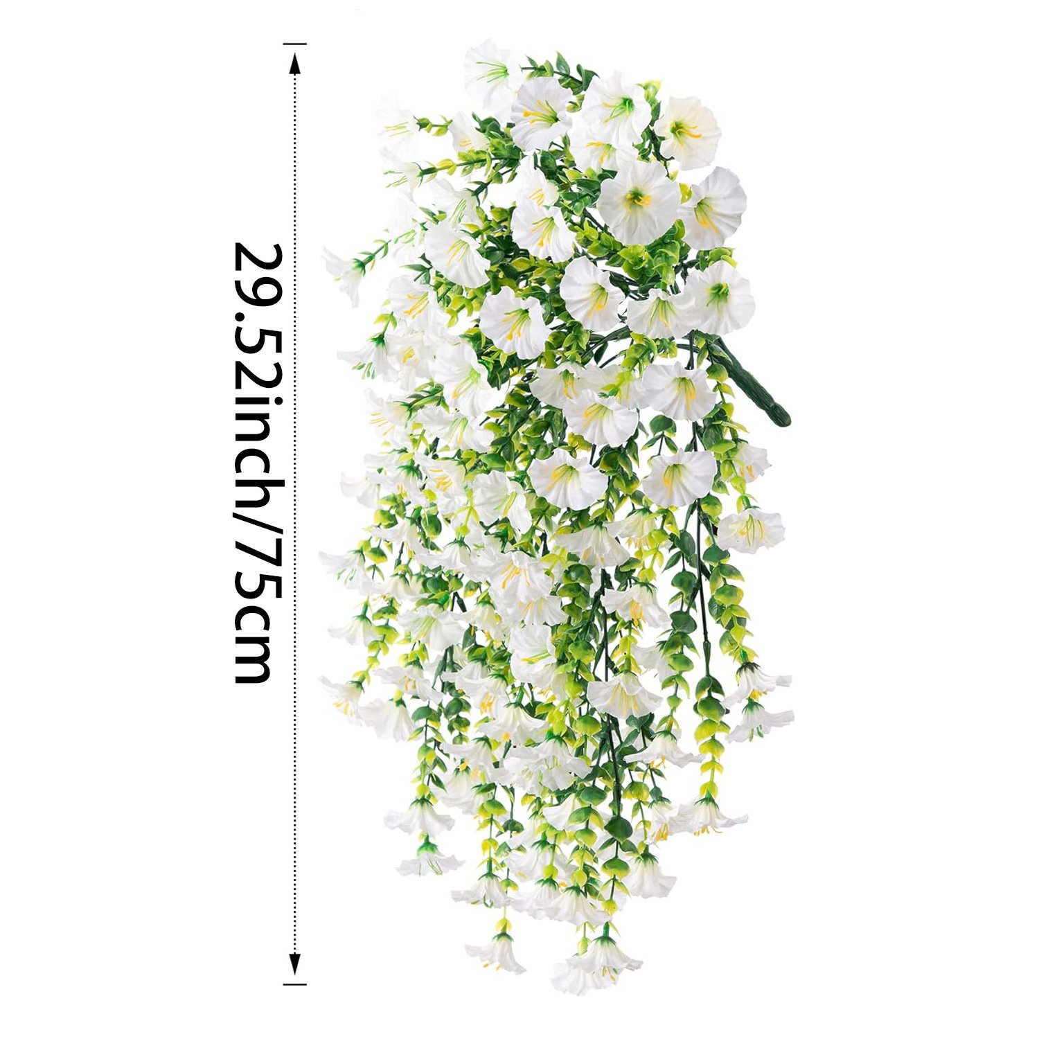 Perfect home garden decoration – 🌺hanging morning glory