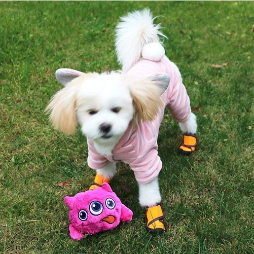 🔥Last Day Promotion 70% OFF🔥Monster DogActive Ball