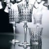 Serene Soirée Diamond Wine Glasses