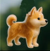 🔥Letzter Tag 50% RABATT-Hundehaarsammler Schlüsselanhänger Charm Gedenk-Aufbewahrungsbox