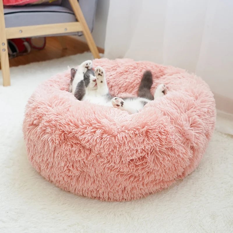 (🎉Last Day Promotion 50% OFF) Comfy Calming Dog/Cat Bed