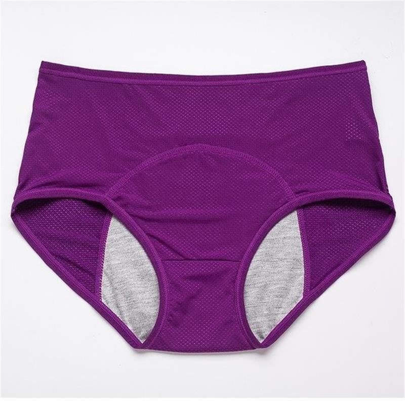 🎁Last Day 49% OFF - Extra-Large Leak Proof Protective Panties