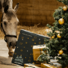 🎅Christmas Early Bird Sale 49% OFF - 🐎Forelock and Fringe Advent Calendar 2024