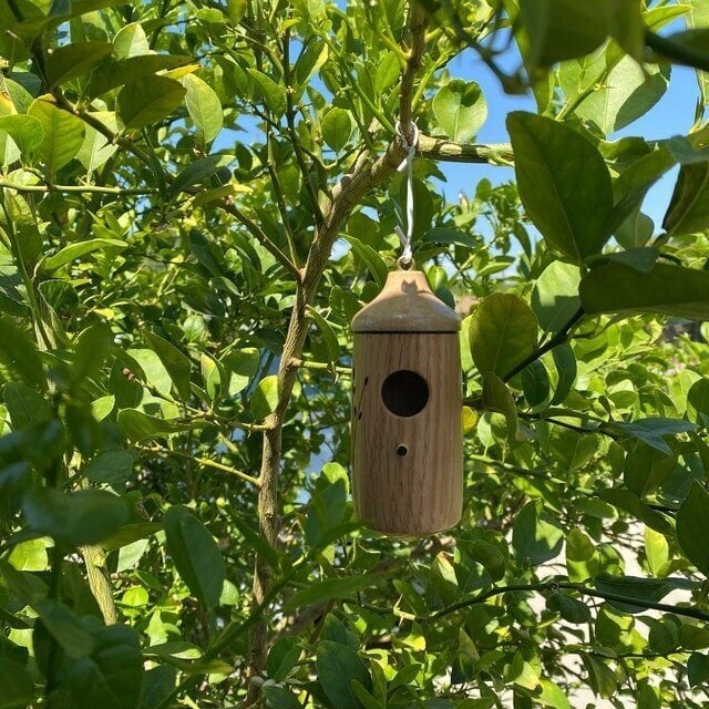 🎁Mother's Day Sale 50% OFF💕-Wooden Hummingbird House-Gift for Nature Lovers